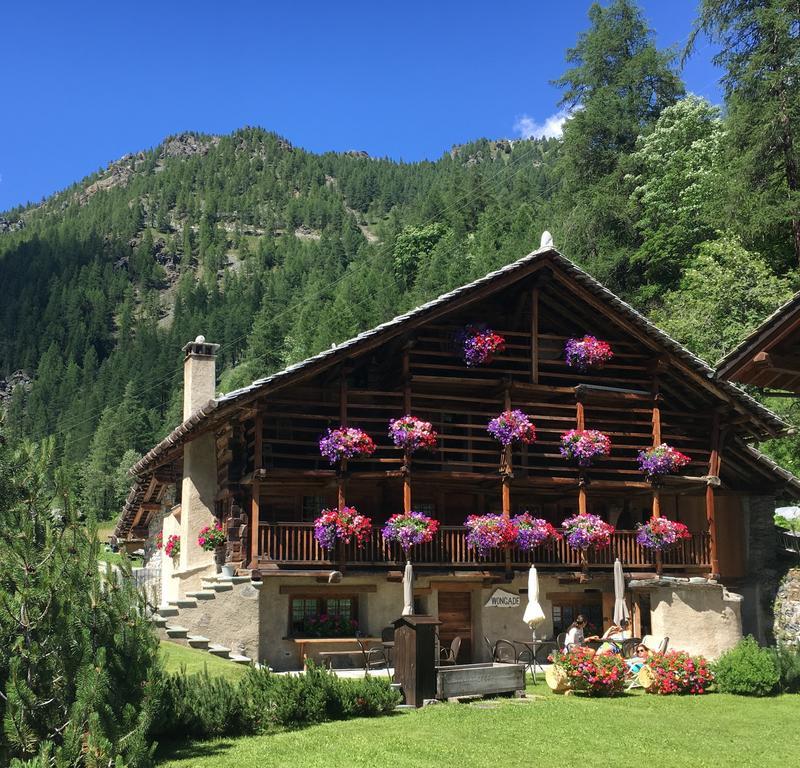 Wongade Hotell Gressoney-la-Trinité Exteriör bild